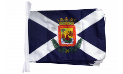 Spain Tenerife Bunting Flags - 12 x 18 inch