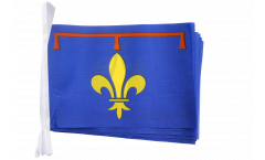 France Provence Bunting Flags - 5.9 x 8.65 inch