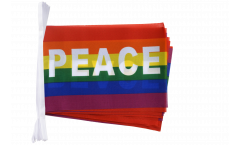 Rainbow with PACE Bunting Flags - 5.9 x 8.65 inch