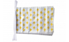 France Fleur-de-lis, white Bunting Flags - 12 x 18 inch
