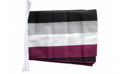 Asexual Bunting Flags - 12 x 18 inch