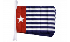 West Papua / Western New Guinea Bunting Flags - 12 x 18 inch