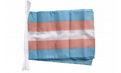 Transgender Pride Bunting Flags - 12 x 18 inch