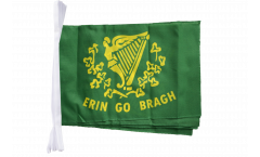 Ireland Erin Go Bragh Bunting Flags - 12 x 18 inch