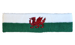 Wales Headband / sweatband - 6 x 21cm