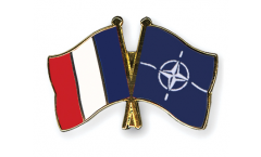 France - NATO Friendship Flag Pin, Badge - 22 mm
