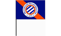 HSC Montpellier Hand Waving Flag - 16 x 24 inch
