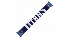 NFL Tennessee Titans Fan Scarf - 17x 150 cm