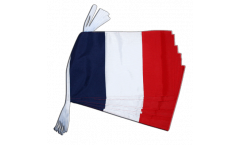 France Bunting Flags - 12 x 18 inch