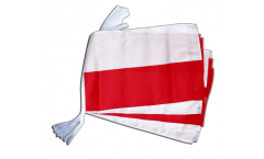 Poland Bunting Flags - 12 x 18 inch