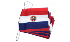 Paraguay Bunting Flags - 5.9 x 8.65 inch