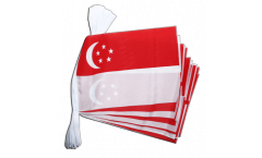 Singapore Bunting Flags - 5.9 x 8.65 inch