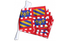 France Burgundy Bunting Flags - 5.9 x 8.65 inch