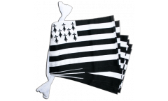 France Brittany Bunting Flags - 5.9 x 8.65 inch