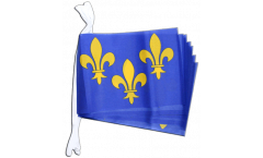 France Île-de-France Bunting Flags - 5.9 x 8.65 inch