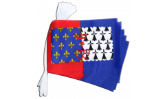 France Pay de la Loire Bunting Flags - 5.9 x 8.65 inch