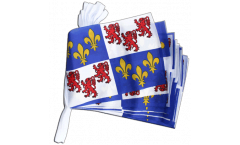 France Picardie Bunting Flags - 5.9 x 8.65 inch