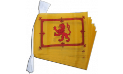Scotland royal Bunting Flags - 5.9 x 8.65 inch
