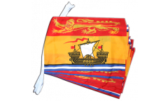 Canada New Brunswick Bunting Flags - 12 x 18 inch