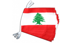 Lebanon Bunting Flags - 12 x 18 inch