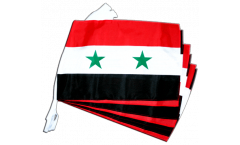 Syria Bunting Flags - 12 x 18 inch