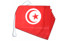 Tunisia Bunting Flags - 12 x 18 inch