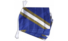 France Champagne-Ardenne Bunting Flags - 12 x 18 inch