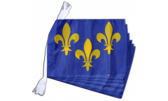 France Île-de-France Bunting Flags - 12 x 18 inch