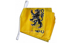 France Nord-Pas de Calais Bunting Flags - 12 x 18 inch