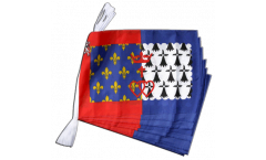France Pay de la Loire Bunting Flags - 12 x 18 inch