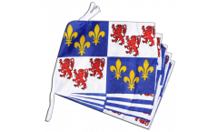 France Picardie Bunting Flags - 12 x 18 inch
