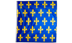 France Fleur-de-lis, blue Flag - 5 x 5 ft.