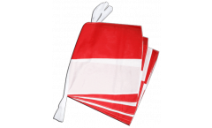Switzerland Canton Solothurn Bunting Flags - 12 x 12 inch