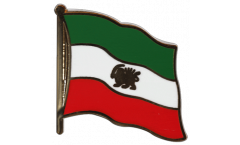 Iran Shahzeit Flag Pin, Badge - 1 x 1 inch