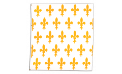 France Fleur-de-lis, white Flag - 5 x 5 ft.