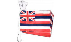 USA Hawaii Bunting Flags - 5.9 x 8.65 inch