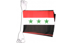 Iraq without writing 1963-1991 Bunting Flags - 5.9 x 8.65 inch