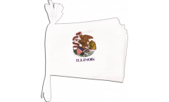 USA Illinois Bunting Flags - 5.9 x 8.65 inch