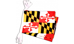 USA Maryland Bunting Flags - 5.9 x 8.65 inch