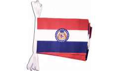USA Missouri Bunting Flags - 5.9 x 8.65 inch