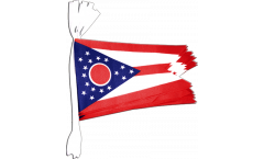 USA Ohio Bunting Flags - 5.9 x 8.65 inch
