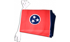 USA Tennessee Bunting Flags - 5.9 x 8.65 inch