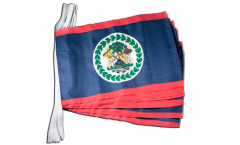 Belize Bunting Flags - 12 x 18 inch