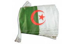 Algeria Bunting Flags - 12 x 18 inch