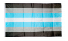 Demi-Boy Flag