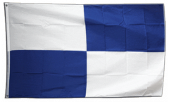 Fan Checkered blue-white Flag