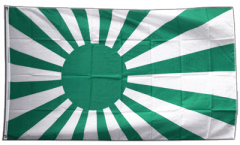 Fan green white Flag