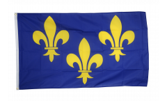 France Île-de-France coat of arms with lily Flag