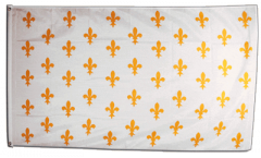 France Fleur-de-lis, white Flag