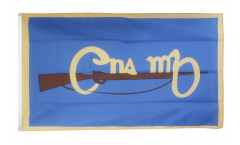 Ireland Cumann na mBan Flag